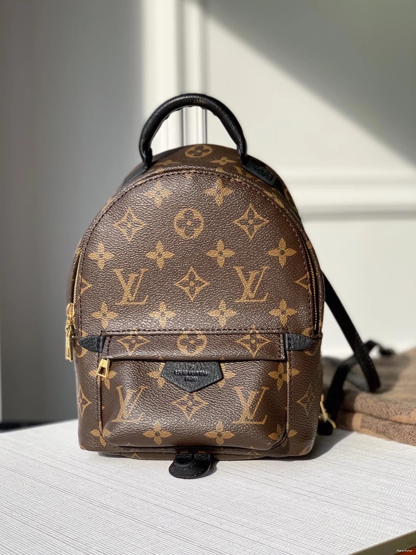 EDITON MINI NEW VUITTON SPRINGS PALM LOUIS 0821